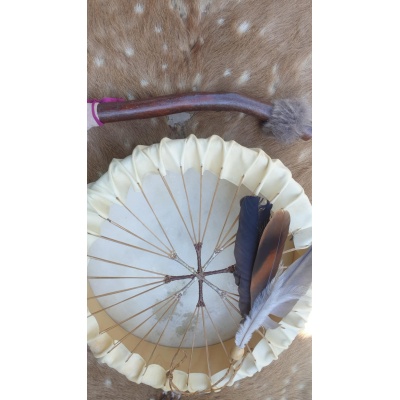 c68d8894-00e7-4efe-9490-b623e0b10f91